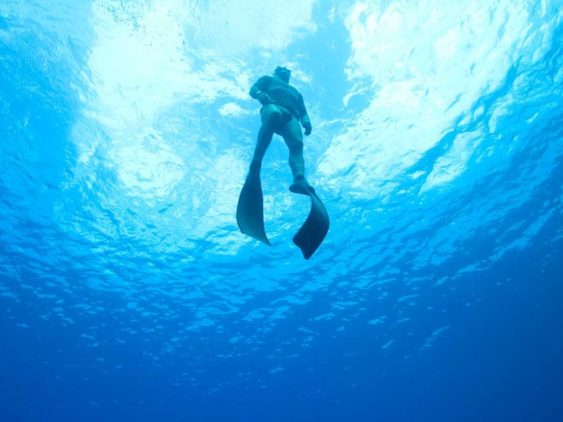 Herbert Nitsch est un apnéiste autrichien, détenant 33 records du monde, Herbert est aussi conférencier dans l'équipe WeCHamp