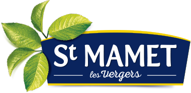 Saint Mamet Conférence WeChamp