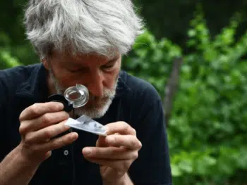 François Lasserre conférencier expert et auteur de livres sur les insectes